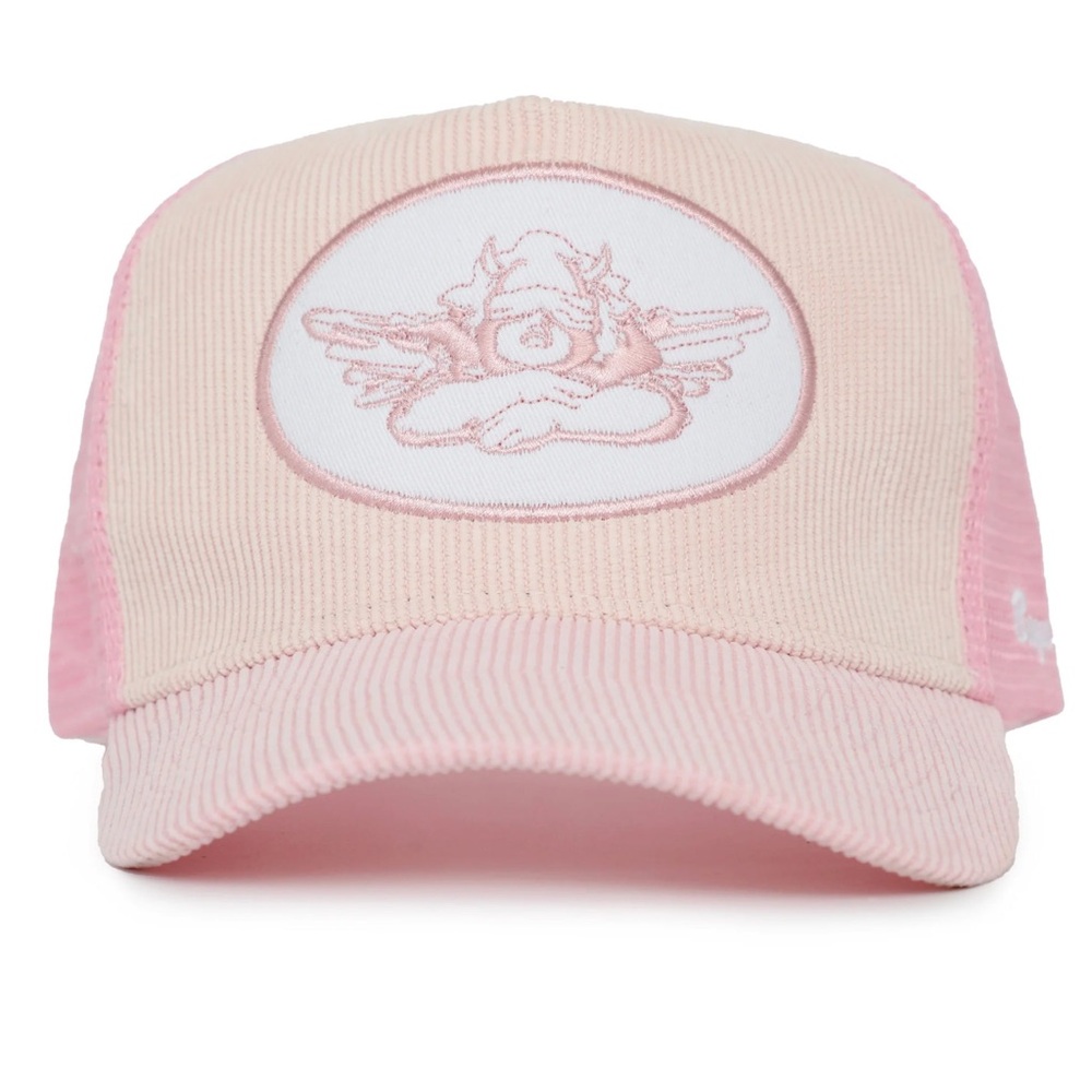Boy’s Lie Trucker Hat in Babypink
